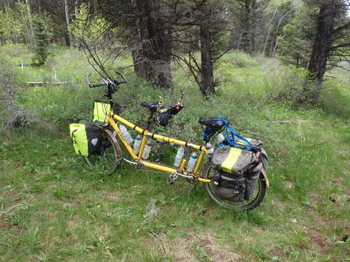 GDMBR: The Bee with gear removed and panniers unlocked and/or open.